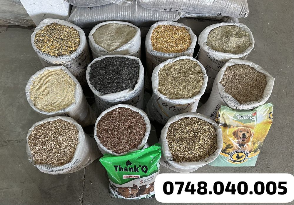 Porumb, Urluiala, Amestec boabe, Mazare, Spartura, Cereale ambalate