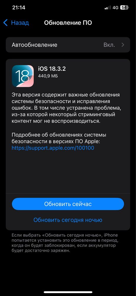 iphone xs max 256