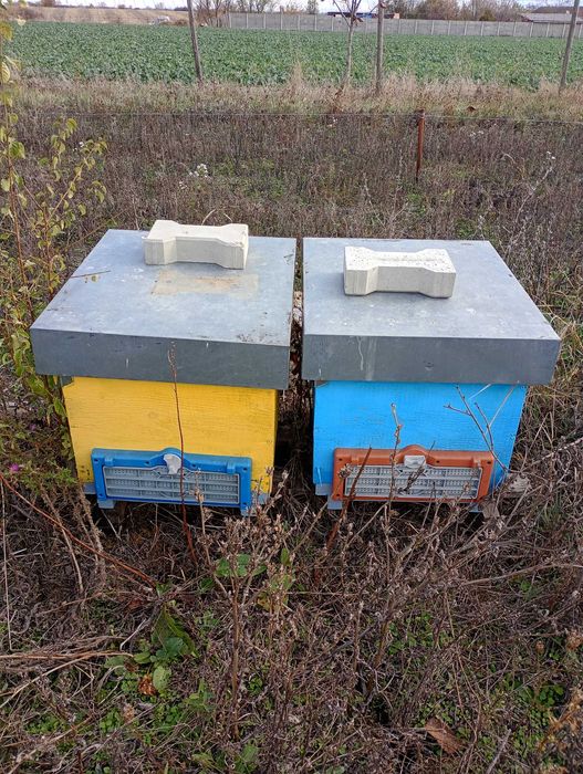 Vând stupi de albine folosiți