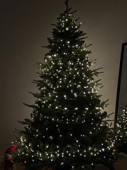 В продаже елка 210см