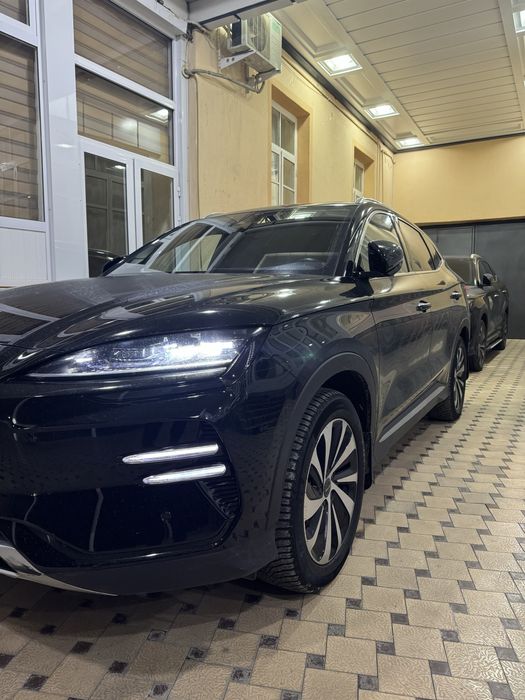 Chempion Honor Full 605