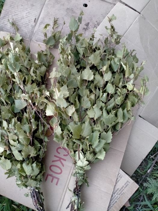 Берёзовый веник 2022 веник для бани березовый