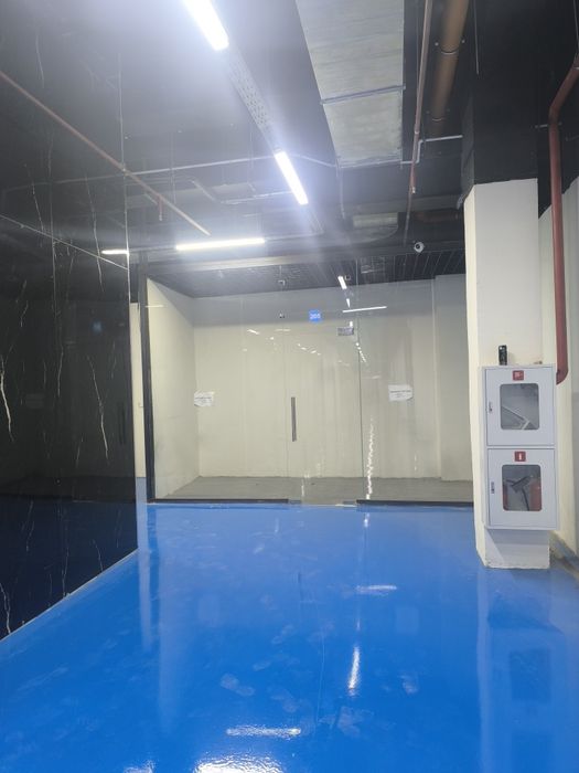Scopus mall da kokon sotiladi -1 da