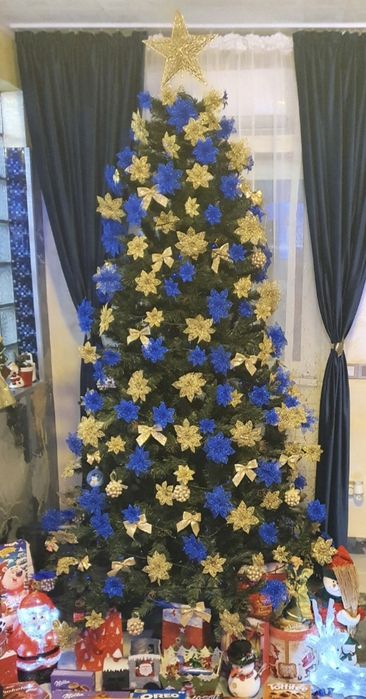 Brad impecabil,250 cm înălțime