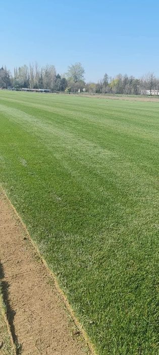 Gazon rulou si sistem de irigatii