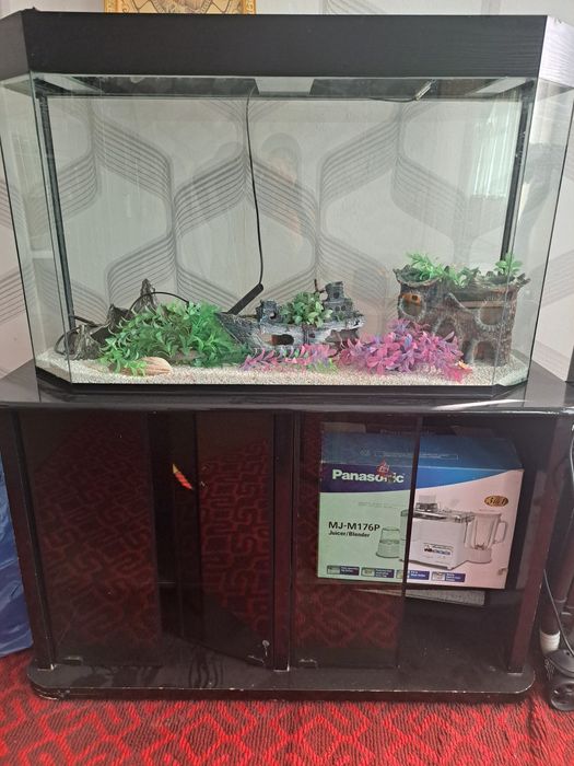 Akvariyum patstavka sotiladi