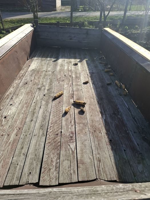 Vînd remorcă mig de înprăștiat gunoi