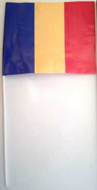 Steagul cu Tricolorul României