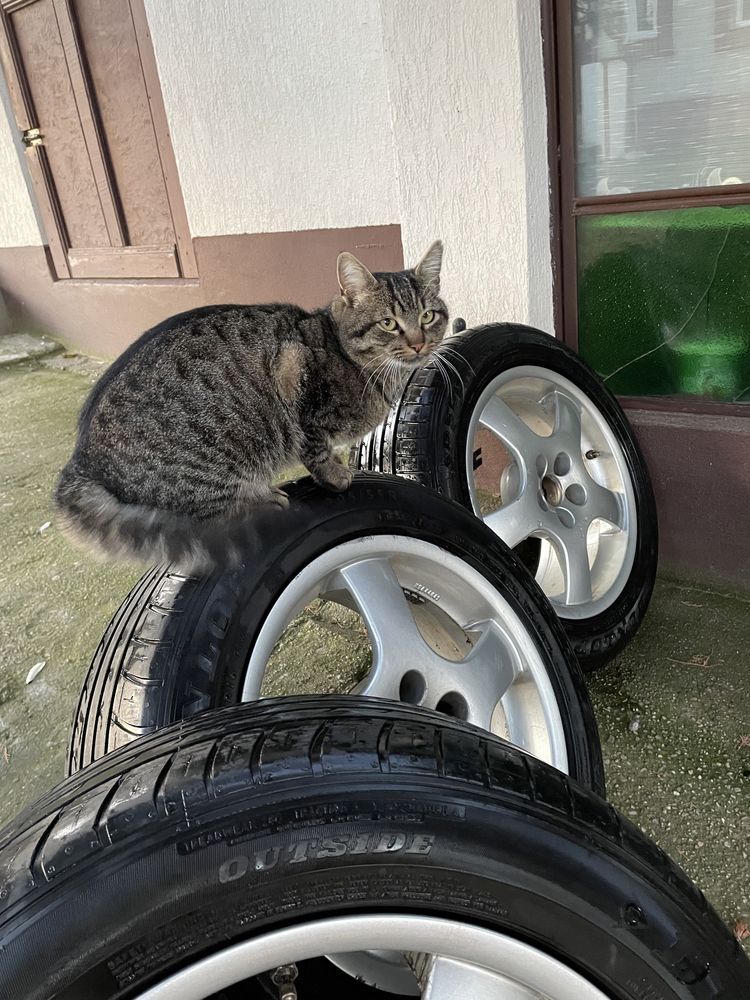 Roti Jante Borbet Cauciucuri Dunlop Vara