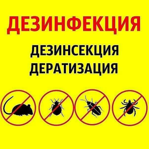 Дезинфекция холодным туманом от клопов и тараканов! Dezinfeksiya Чирчи