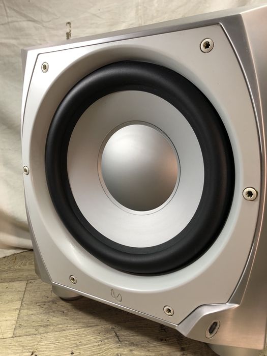 12” Infinity Subwoofer