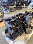 Bloc motor Audi Vw 2.0 TDI cod CAG / CAGA / CBD vibrochen pistoane