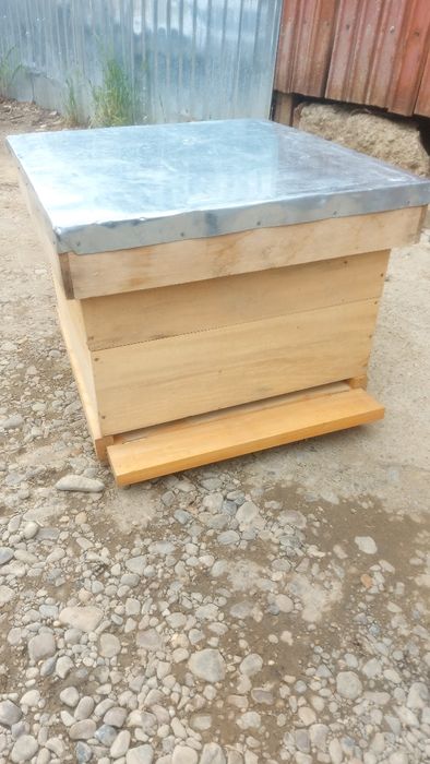 Vând 10 cutii stupi 12 rame, 2.5 cm