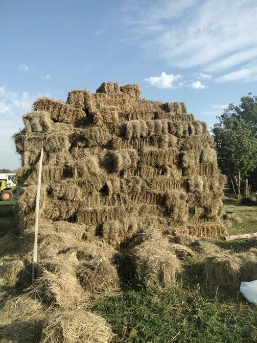 Vând baloți de fân