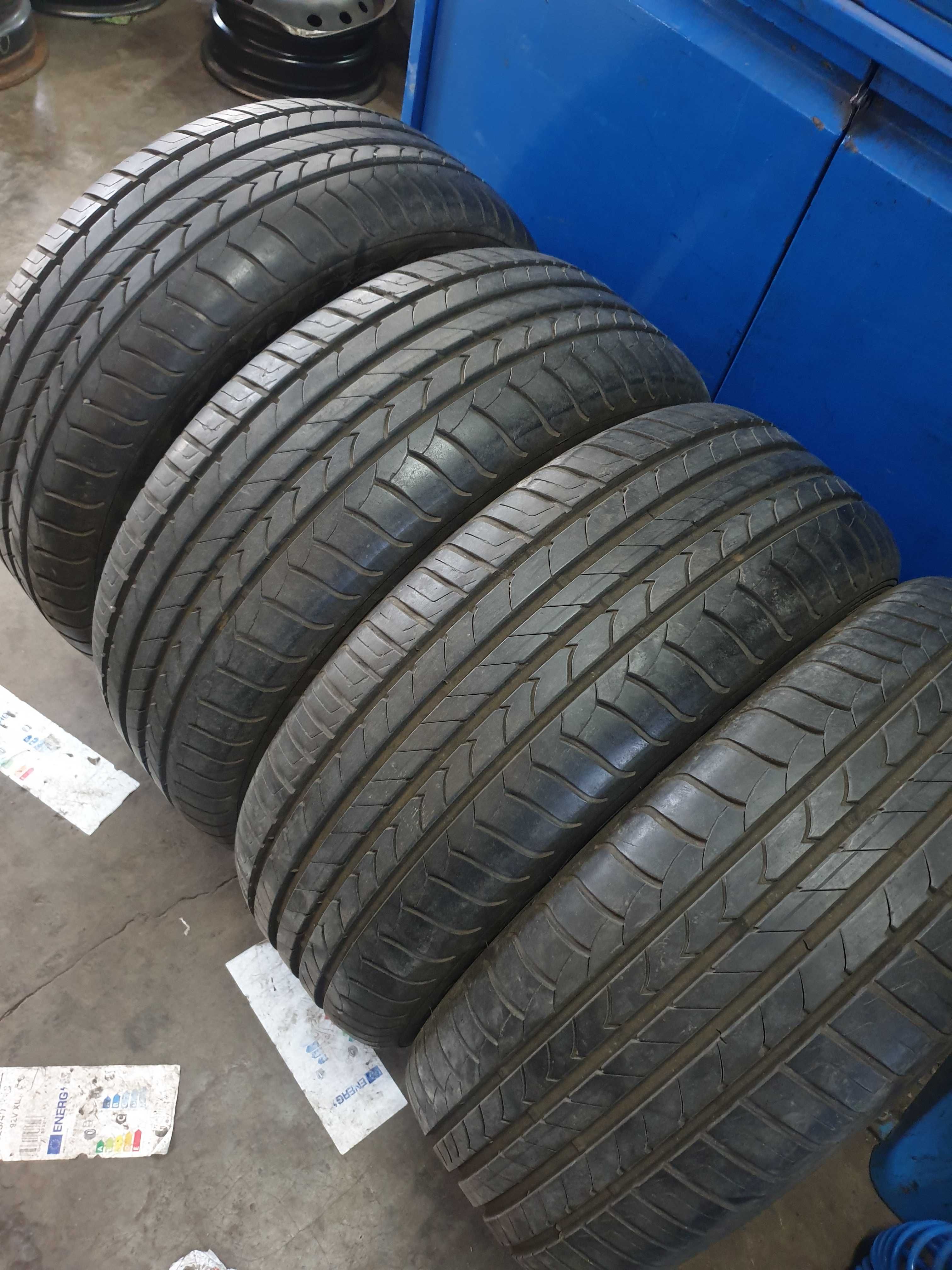 Goodyear EfficientGrip 205/55R16