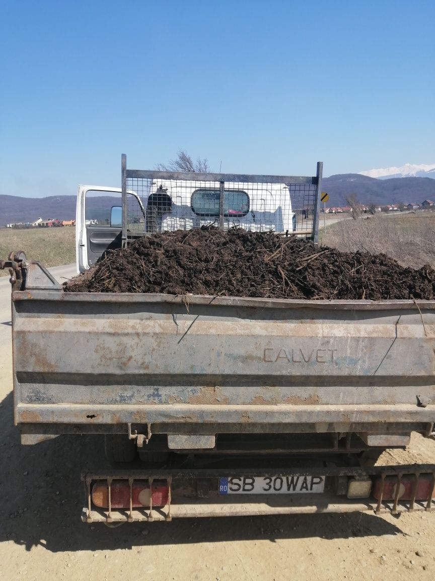 Debarasam moloz, mobila, resturi vegetale, nisip, sort, piară de râu,