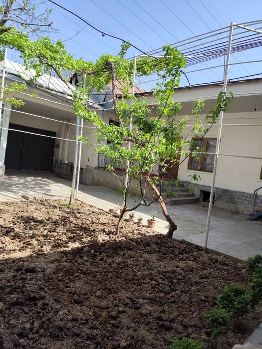 Истирохат кучада участка