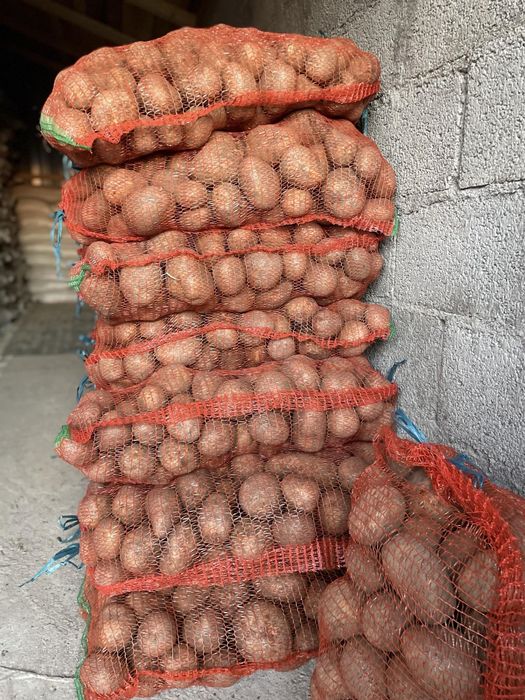 Vând cartofi de cosum și de dat la animale