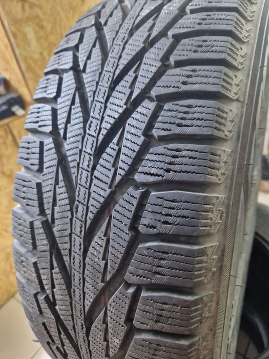 Nokian hakkapeliitte