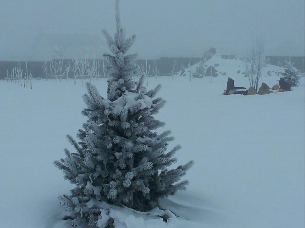 Vând Teren cu Casa 4000m2 Munteni Jos