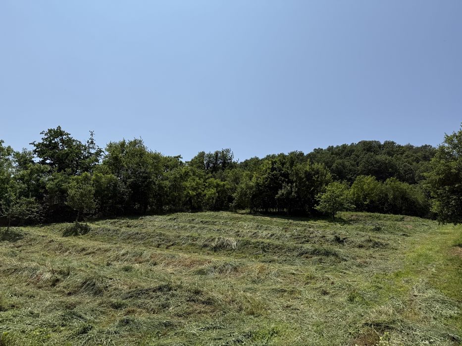 Vand teren inravilan