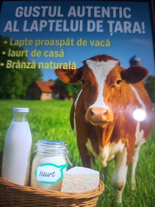 Vând lactate de vacă/lapte/brânză/iaurt