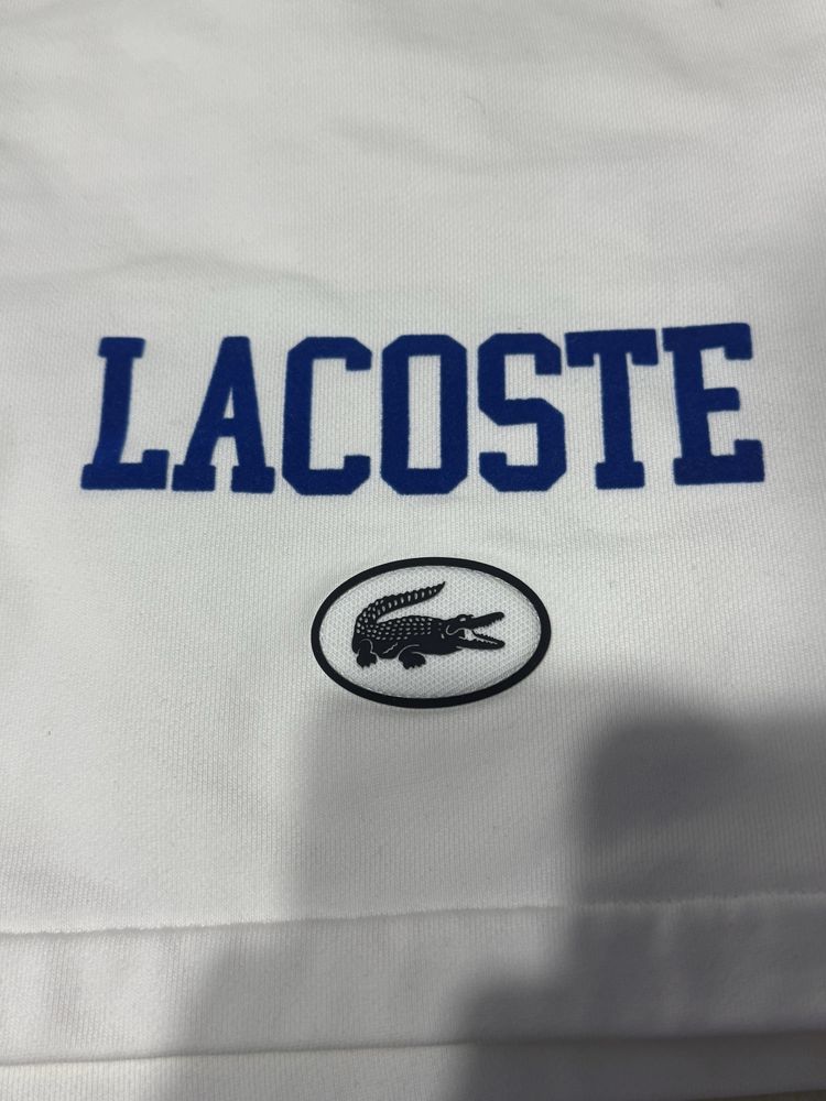 Pantaloni / scurti Lacoste
