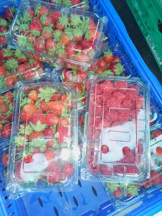 Zmeură 35 lei kg