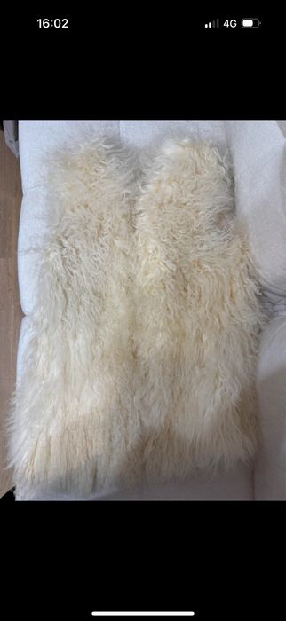 Vesta oaie mongoleza