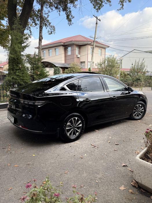 Byd Chazor , 55 - km , Luxe ( 2 позиция )