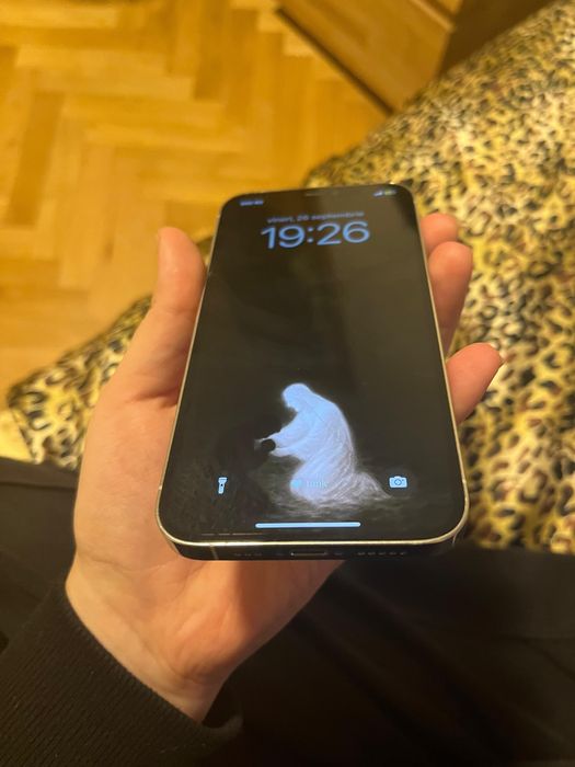 iphone 12 pro silver