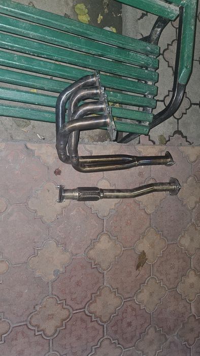 Jentraga pavuk  nerjavikaliy