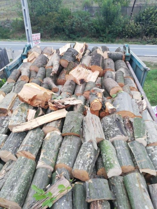 Vând lemn foc 500 LEI mc