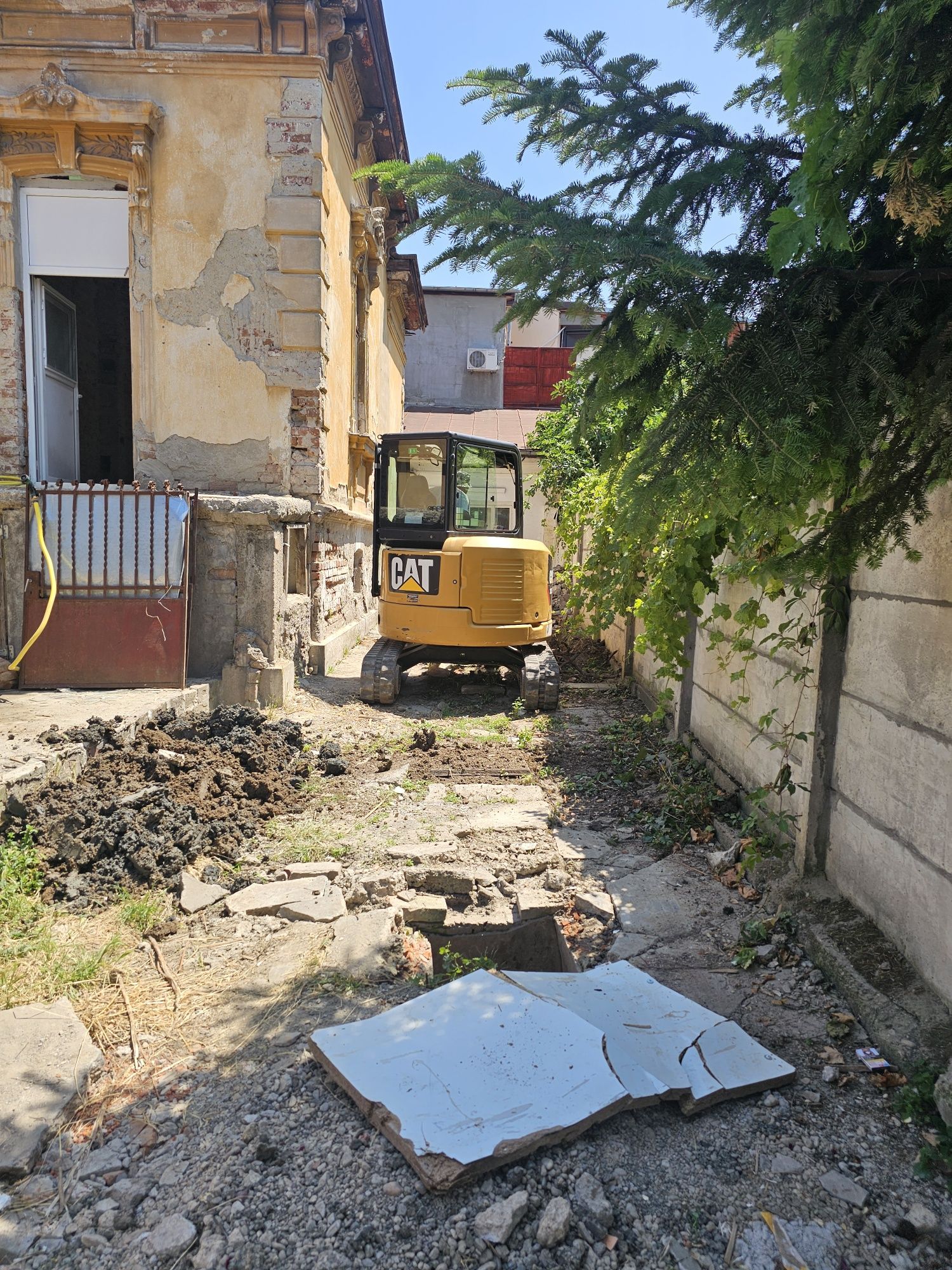 Excavații defrisari