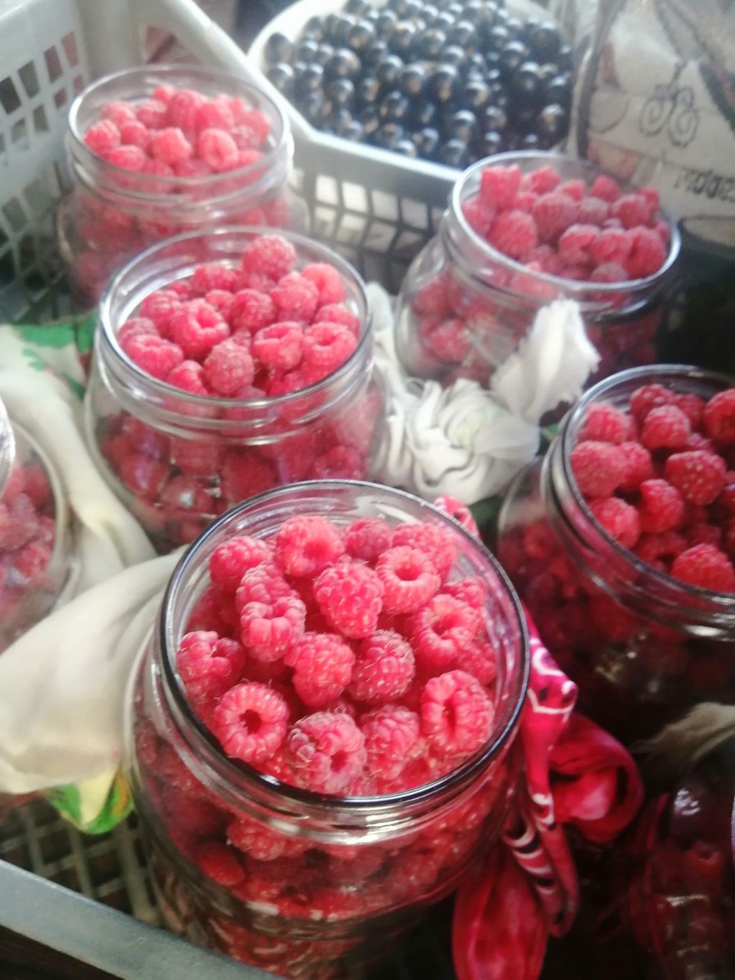 Дачная продукция.