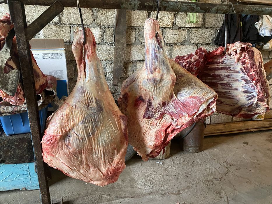 Согым доставкамен