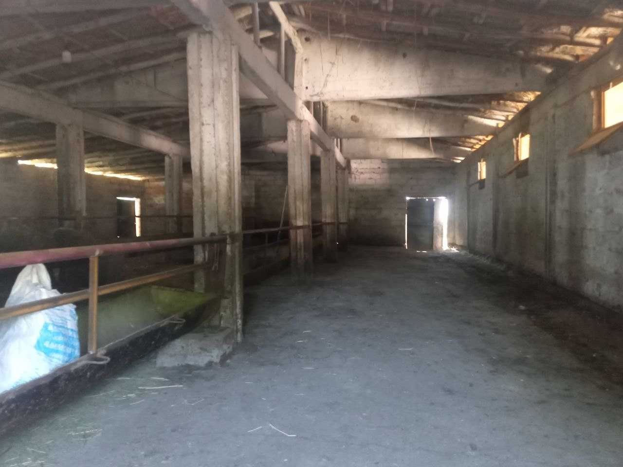 Xovos tumanida Molxona, omborxona binolari sotilmoqda.