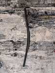 Ghidon giant contact