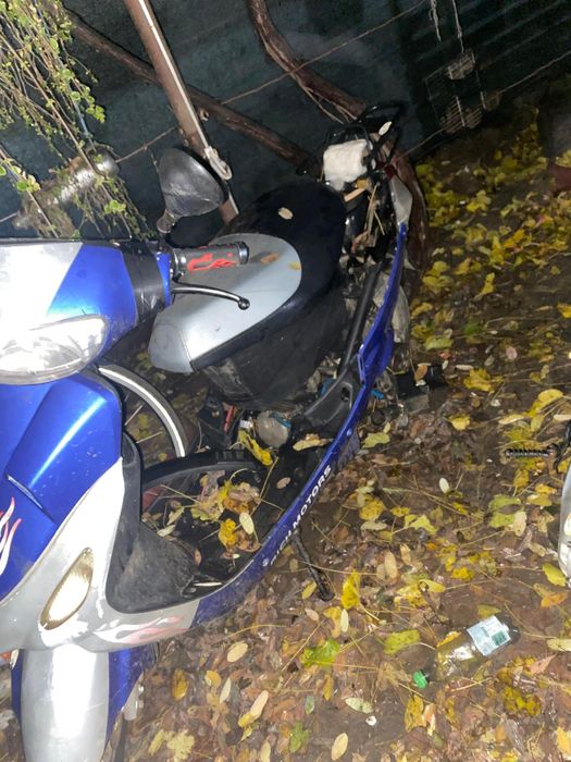 Scuter chinezesc gy6