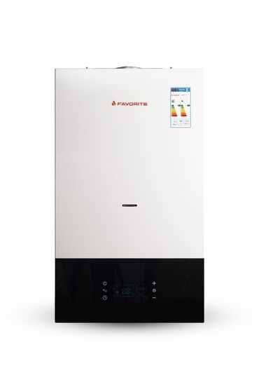 Газовые котлы - Favorite H16 160 кв.м (настенный)