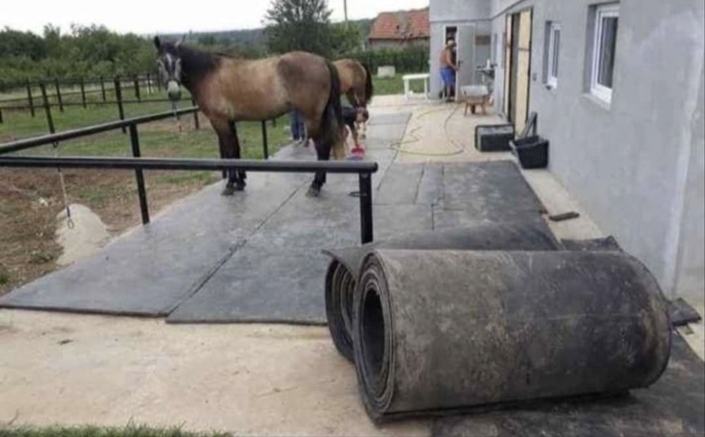 Banda de cauciuc ideala pentru boxe de cai, animale, orice destinatie