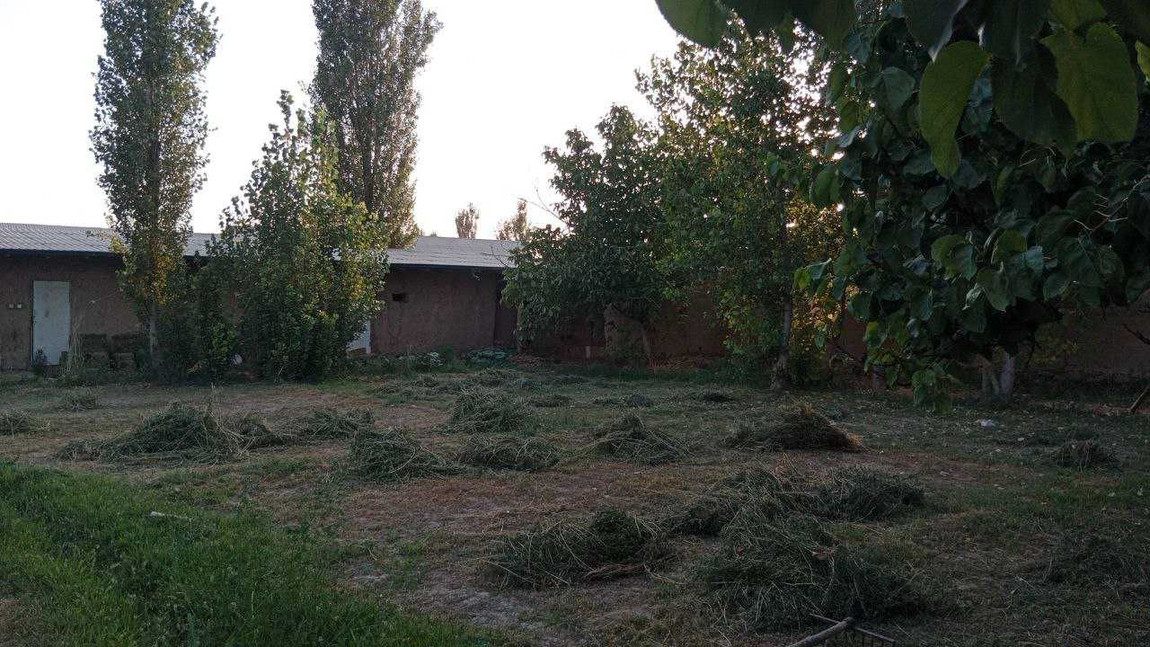 Sh.Rashidov tumani Istiqlol mahallasida 4 sotix yer sotiladi