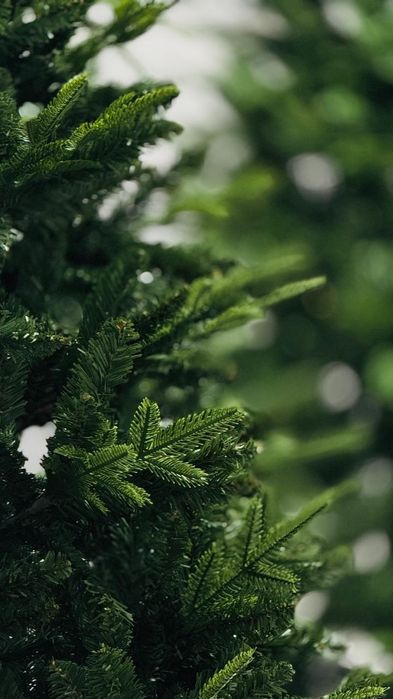 Литая ёлка в Кызылорде