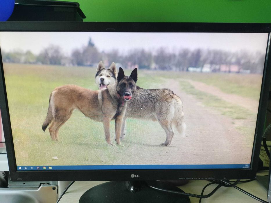 Monitor LG de 23.5'', Full HD, VGA, Negru