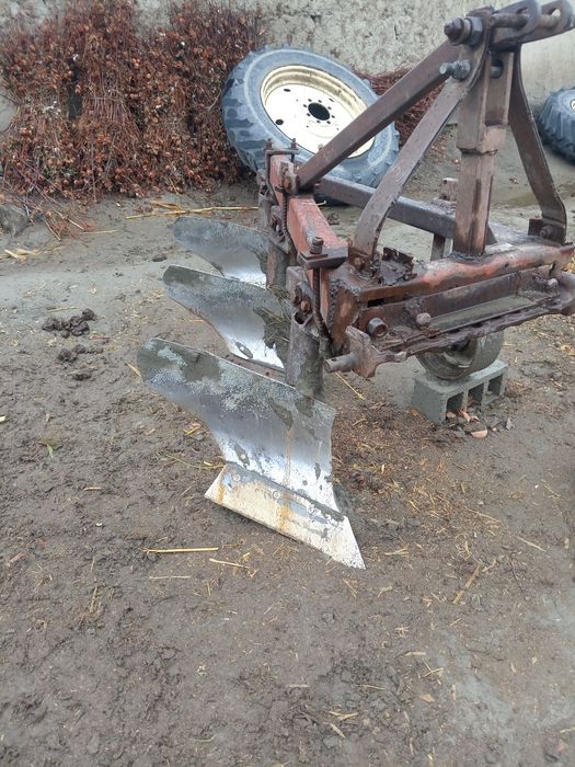 Pluk sotiladi edial holda