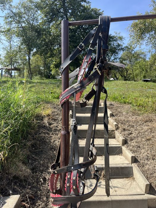 Vand ham de ponei nou