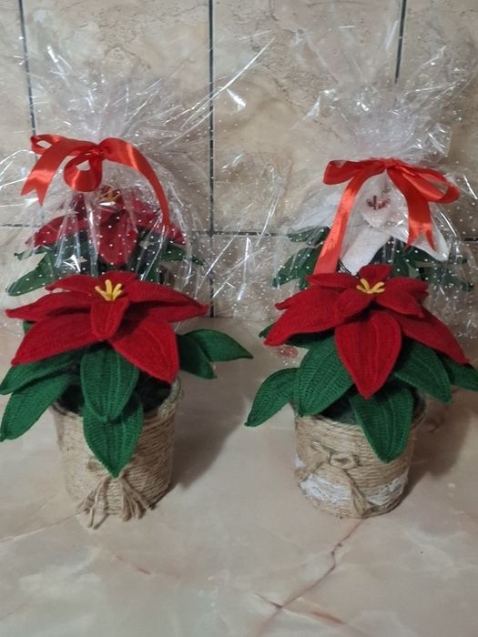 Craciunita crosetata