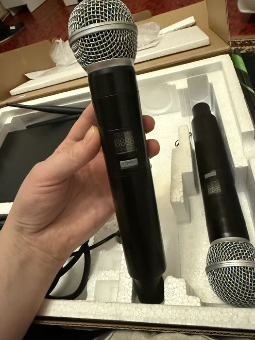 микрофонная система