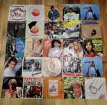 Discuri vinil pick-up