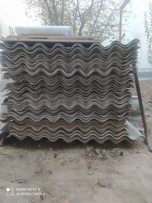 Шипр. Холати яхши